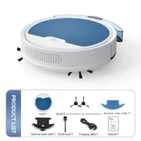 Small Size Smart Sweeping Robot