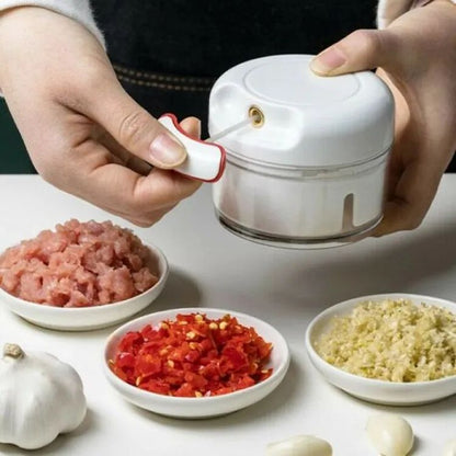 Mini Garlic Chopper Multifunctional Hand Held